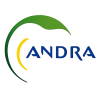 Andra