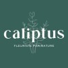 Caliptus