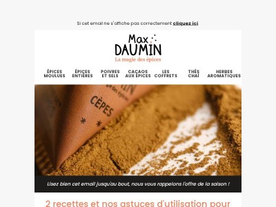 Recettes aux champignons séchés et moulus 🍄‍🟫