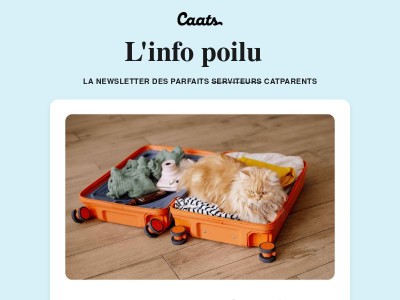 🏖️ As-tu pensé à tout pour ton chat ?