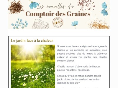 Amarante Verte et Chénopode Géant : des gardiennes de jardin