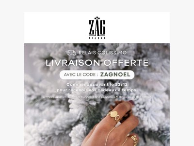 Profitez de la livraison offerte 🎄