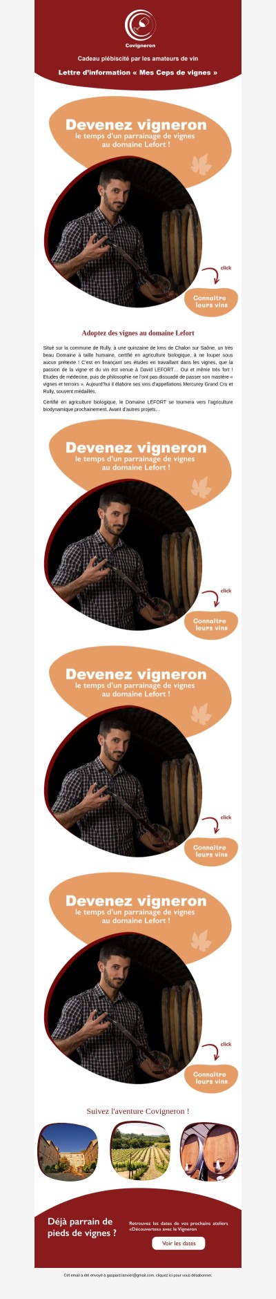 Plongez au cœur de la Bourgogne