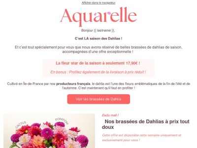 Une brassée de Dahlia à partir à 17,90€ !
