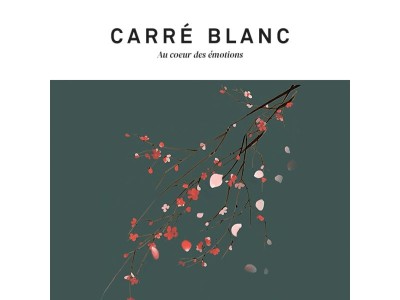 Ventes privées : jusqu'à -50%