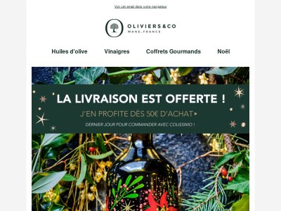 Livraison Offerte et garantie pour Noël 🚚