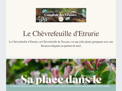 Une plante grimpante au parfum de miel...