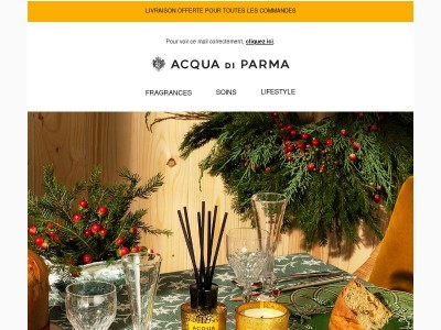 Une surprise pour les fêtes chez vous