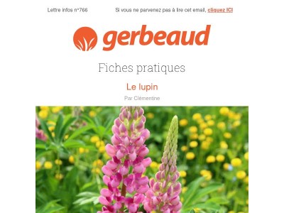 Vos conseils plantes et jardin pour la semaine
