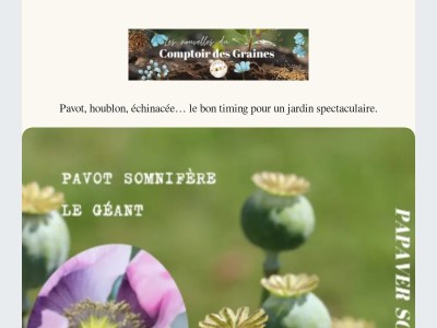 C’est maintenant ou jamais pour semer vos fleurs 🌱