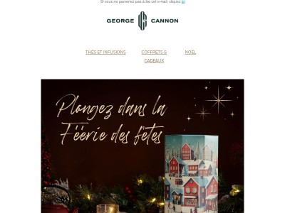 Plongez dans la magie de Noël ✨