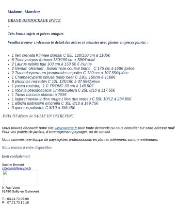    déstockage période d'été plantes et arbres RACYNE