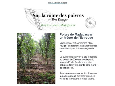 Sur la route des poivres : rendez-vous à Madagascar