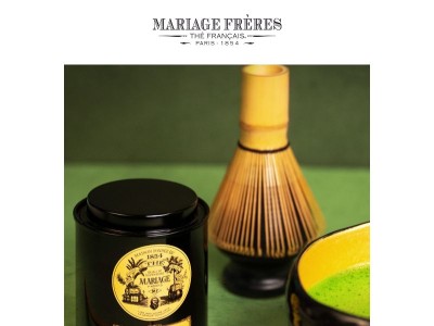 Le Matcha, ce précieux thé en poudre