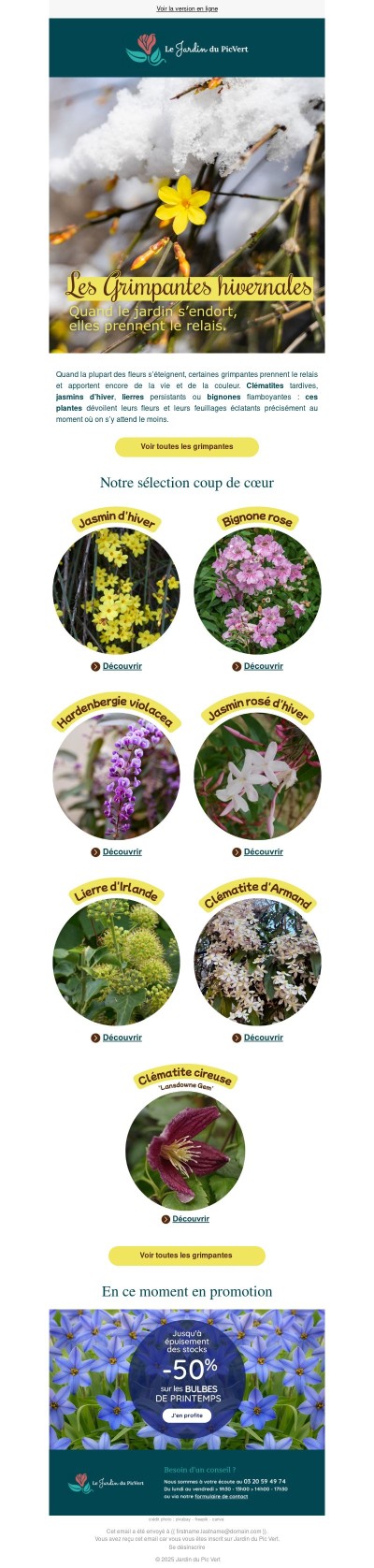 Grimpantes en saison froide : offrez de la couleur quand le jardin s’endort !