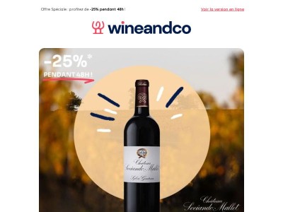 ⚡ VENTE FLASH⚡ Un Bordeaux de caractère : Château Sociando-Mallet 2020 à -25% !