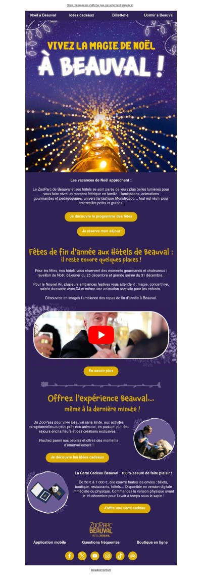 Noël à Beauval : illuminations, MonstroZoo et soirées festives...✨