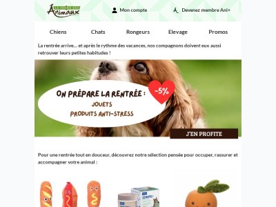 La rentrée approche : préparez votre compagnon !