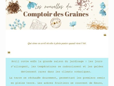 Nouvelles du jardin : courgettes, courges et jolies fleurs