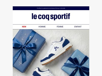 Livraison garantie avant les fêtes ✅