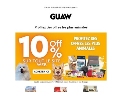 -10% pour votre compagnon 💛