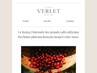 Le Kenya, l'intensité des grands cafés africains