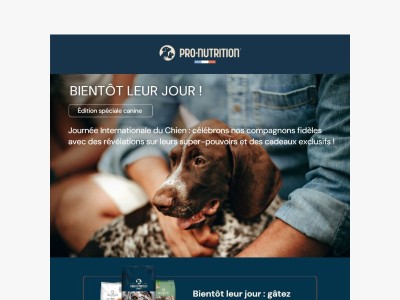 -20% + jouet offert pour lui !