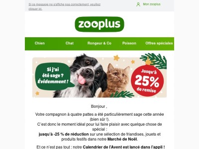 🎄 Le Marché de Noël est ouvert pour votre compagnon !