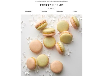 Macaron Solento : Pour un Voyage des Sens Exotiques