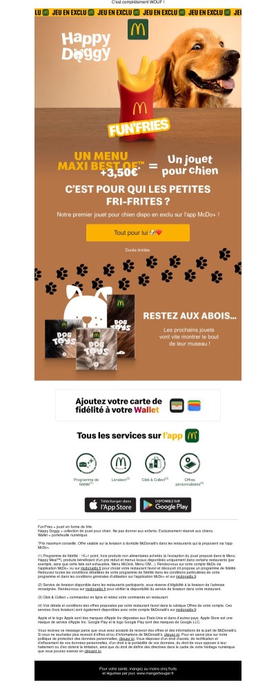 Un jouet pour toute la famille 🐕🦴🐾