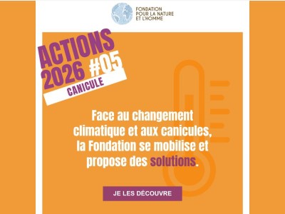 Canicules à répétition : quelles solutions à notre portée ?