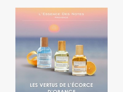 Le pouvoir extraordinaire de l'écorce d'Orange 🍊