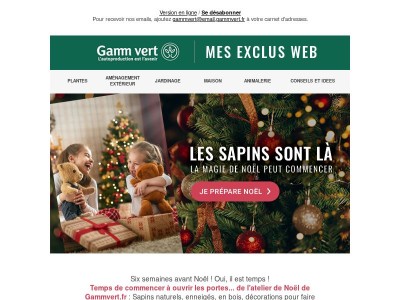 Un sapin, et toute la magie opère…🌲✨