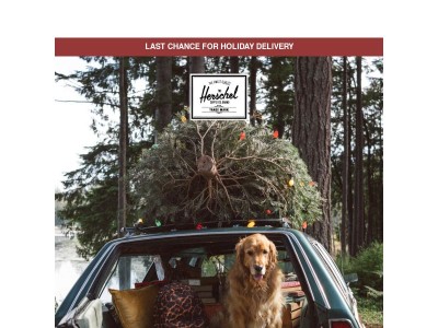 Hurry, Final Shipping Deadline Is Here