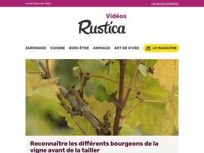 Tailles et semis d'hiver au jardin