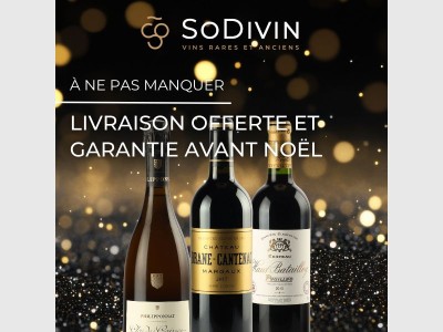 🚚 Livraison gratuite et garantie avant les Fêtes !🍷🎁