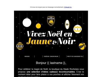 Pour Noël, pensez Stade Rochelais !
