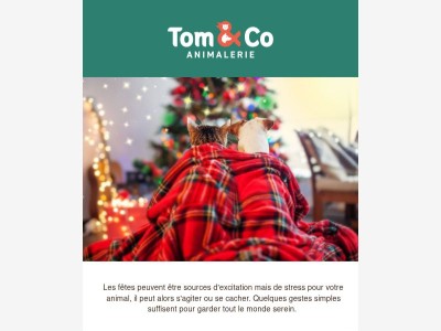 Des fêtes sereines et pleines de cadeaux