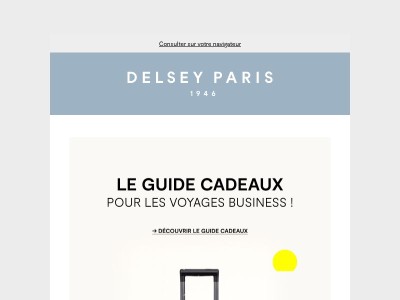 Le guide cadeau DELSEY PARIS 🎁