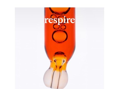 Testez en avant-première