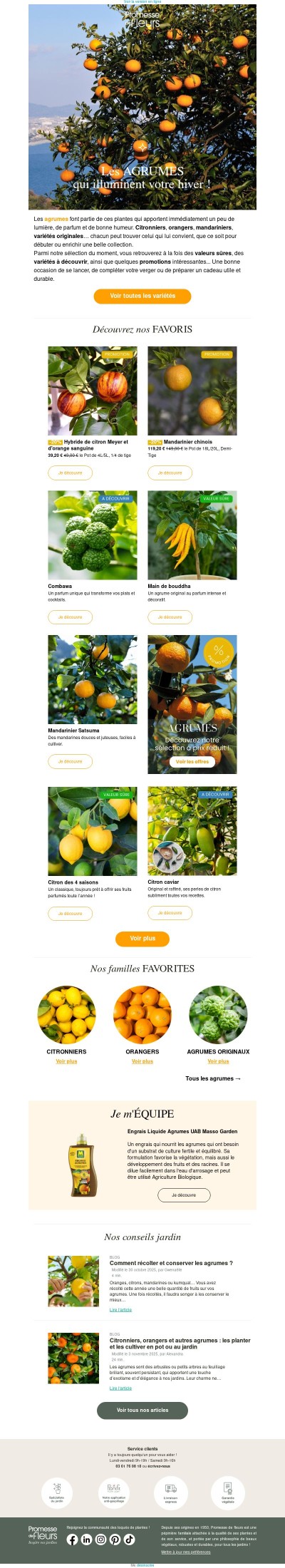 🍋🍊 Un peu de soleil en hiver : découvrez nos agrumes et les promos du moment !