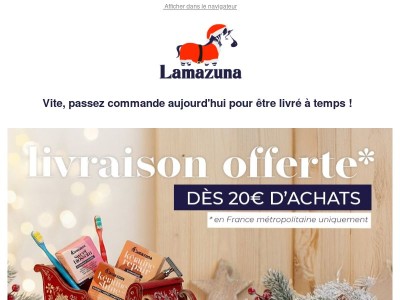 🎁 Ho Ho Ho : livraison offerte ! 