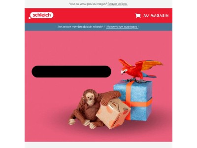 Déjà inscrit(e) au schleich® rewards club ?