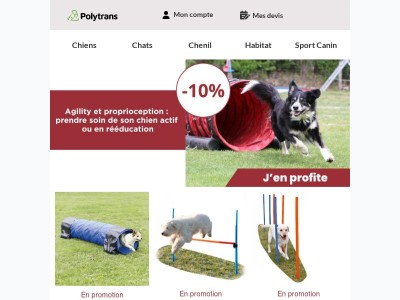 -10 % sur les équipements d'agility et de proprioception