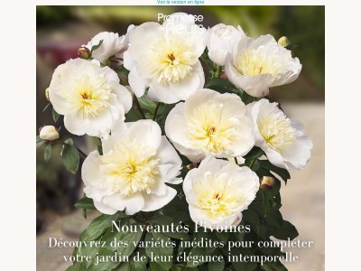 De nouvelles pivoines pour embellir vos jardins au printemps 🩷