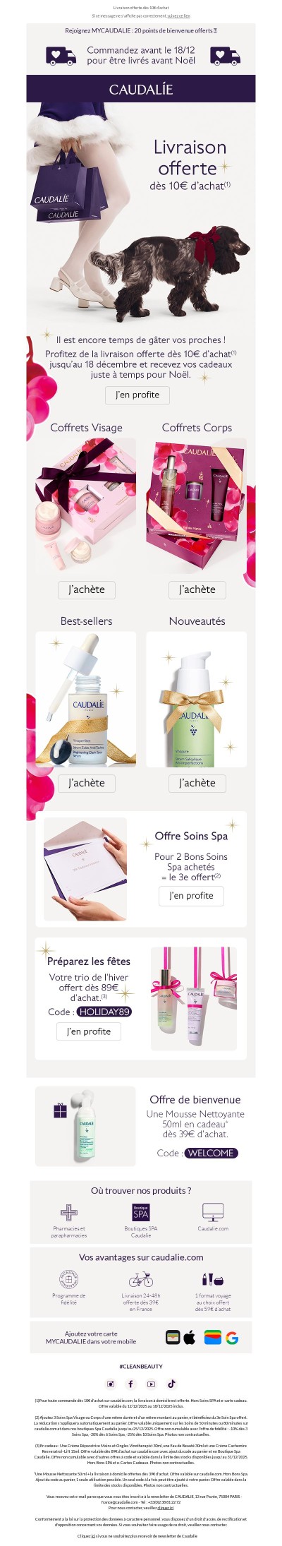 🎄Vos cadeaux de Noël, livrés à temps