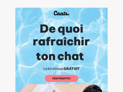 ⚠️☀️ Fortes chaleurs : pense à ton chat