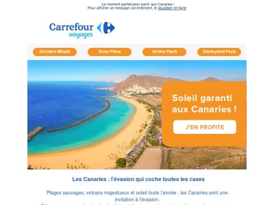 🌴 Les Canaries : la destination qui fait oublier l’hiver