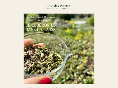 ☀️ Tout le Lubéron dans la tasse