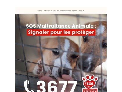 SOS Maltraitance | Agissez pour protéger les animaux 🐾